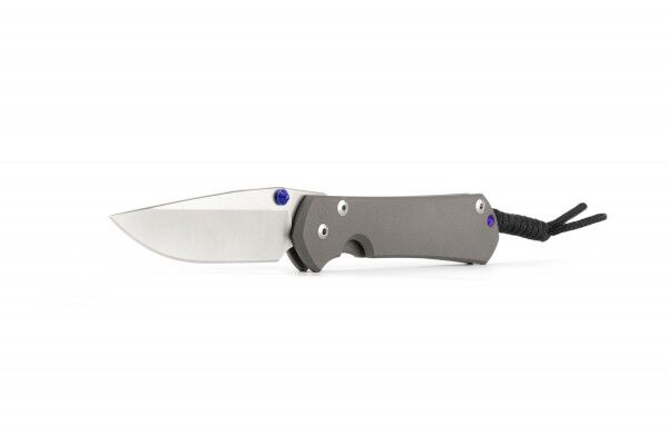 Chris Reeve Sebenza 31 Large - Drop Point (S45VN)